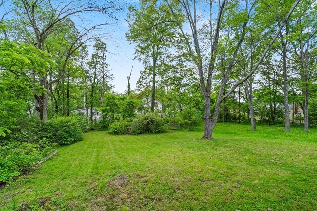 5 Fairview Ave, New Paltz, NY 12561 - view of green lawn