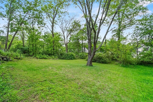 5 Fairview Ave, New Paltz, NY 12561 - view of green lawn