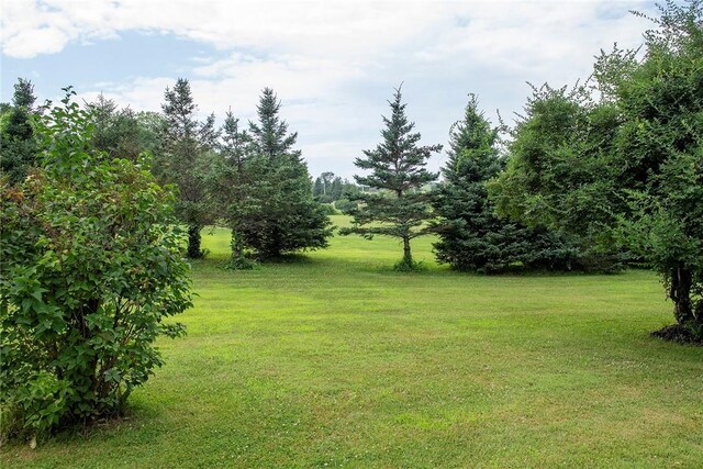 184 Sawchuck Rd, Millerton, NY 12546 - view of green lawn