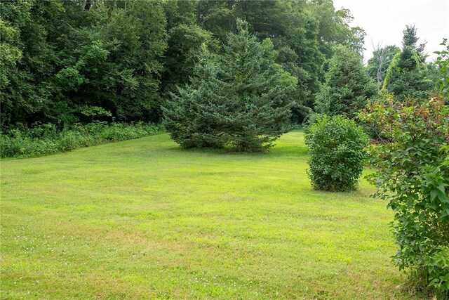 184 Sawchuck Rd, Millerton, NY 12546 - view of green lawn