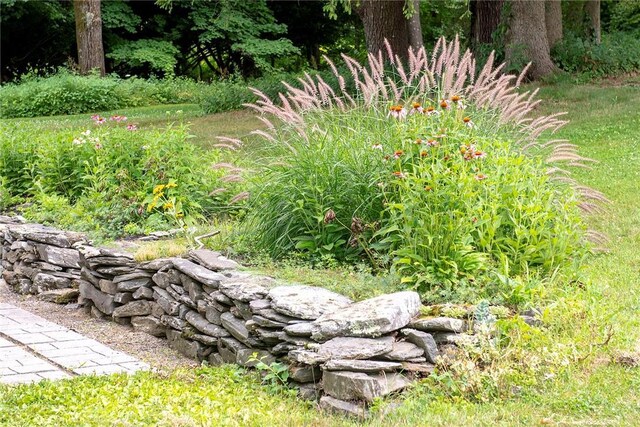 184 Sawchuck Rd, Millerton, NY 12546 - view of yard