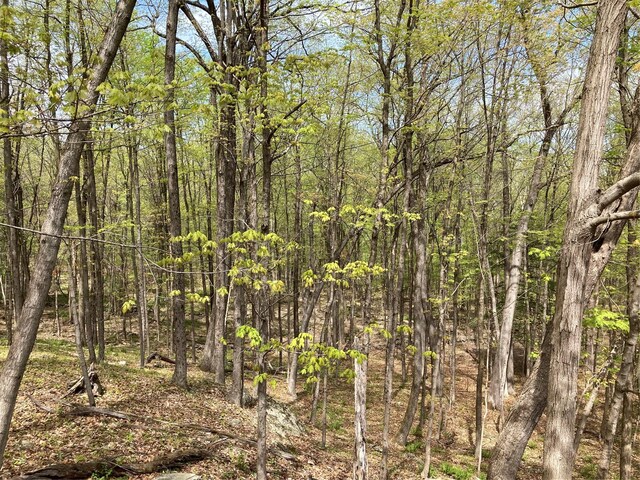 Canterbury Dr, Newburgh, NY 12550 - photo 9