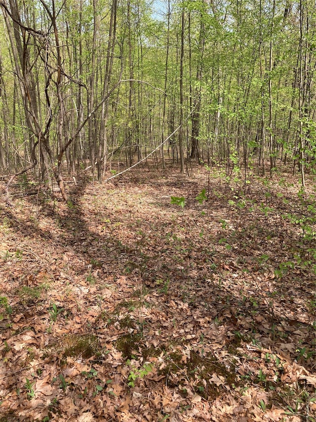 Canterbury Dr, Newburgh, NY 12550 - photo 10