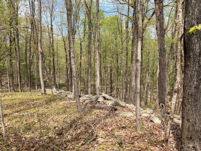 Canterbury Dr, Newburgh, NY 12550 - photo 11