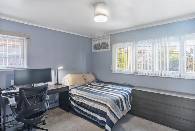 22 Martha St, Freeport, NY 11520 - bedroom featuring carpet floors, ornamental molding, a desk, and baseboard heating
