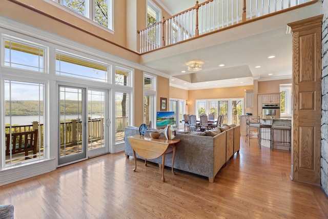 436 Steuben St, Call Listing Agent, NY 14891 - living area featuring a towering ceiling, ornamental molding, and light wood-style floors
