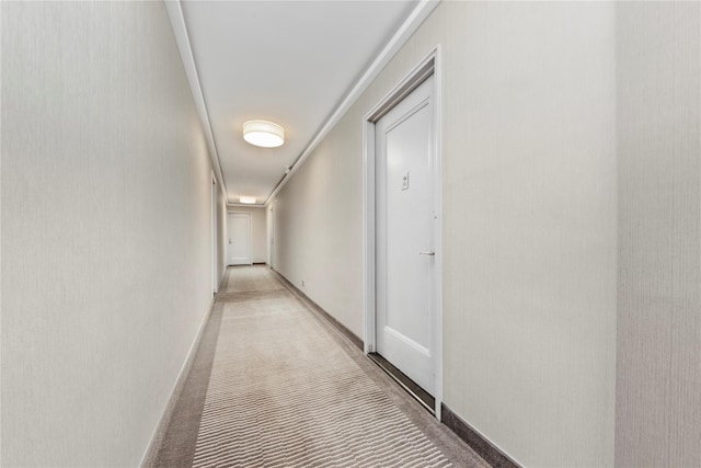 5355 Henry Hudson Pkwy W Unit 4G, Bronx, NY 10471 - hall featuring baseboards and light carpet