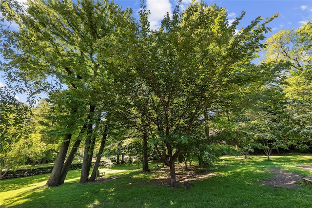 5355 Henry Hudson Pkwy W Unit 4G, Bronx, NY 10471 - view of green lawn