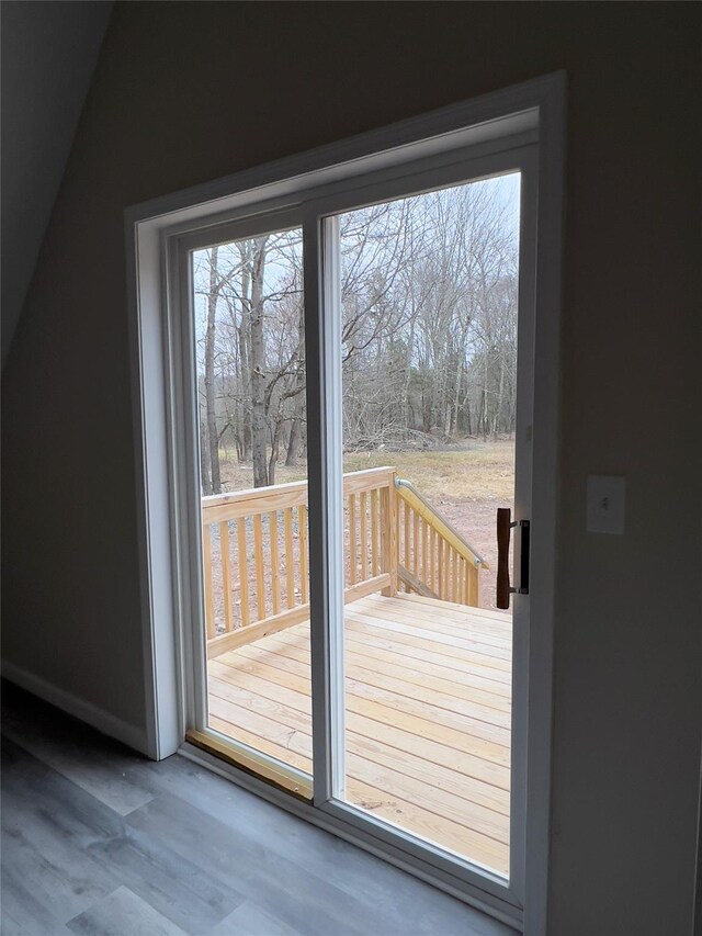 107 Pinewood Rd, Cochecton, NY 12726 - entryway featuring healthy amount of natural light, wood finished floors, and baseboards