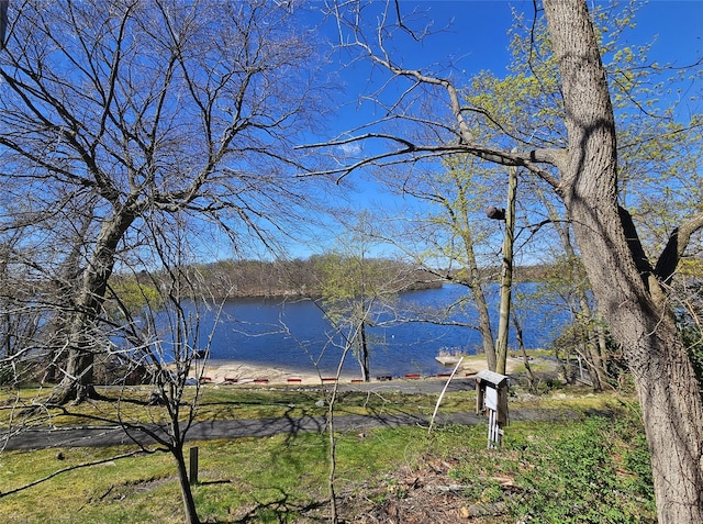 3300 Baker St Unit 20, Mohegan Lake, NY 10547 - water view