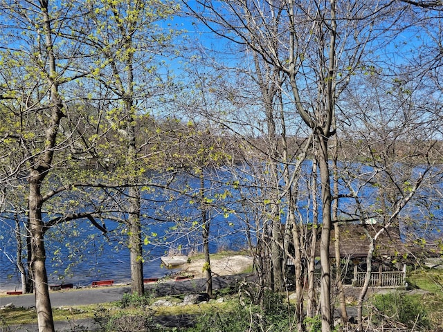 3300 Baker St Unit 20, Mohegan Lake, NY 10547 - water view