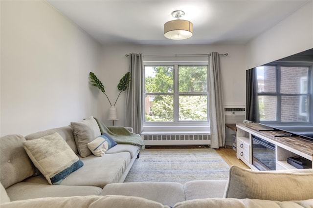 221 Middle Neck Rd Unit M-4, Great Neck, NY 11021 - living area with radiator and light wood finished floors