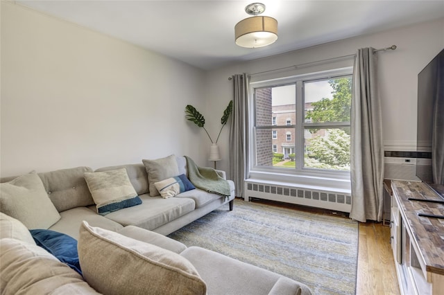 221 Middle Neck Rd Unit M-4, Great Neck, NY 11021 - living room with radiator heating unit and light wood-style floors