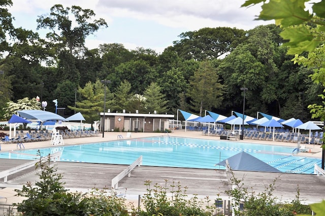 221 Middle Neck Rd Unit M-4, Great Neck, NY 11021 - community pool with view of wooded area and a patio