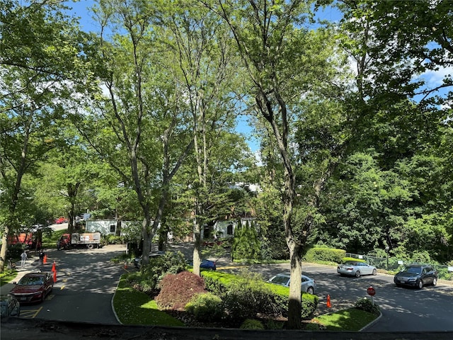 177 E Hartsdale Ave Unit 2Y, Hartsdale, NY 10530 - view of property's community