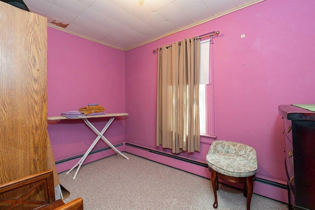 79 Cottage St, Poughkeepsie, NY 12601 - miscellaneous room with baseboard heating, carpet flooring, and ornamental molding