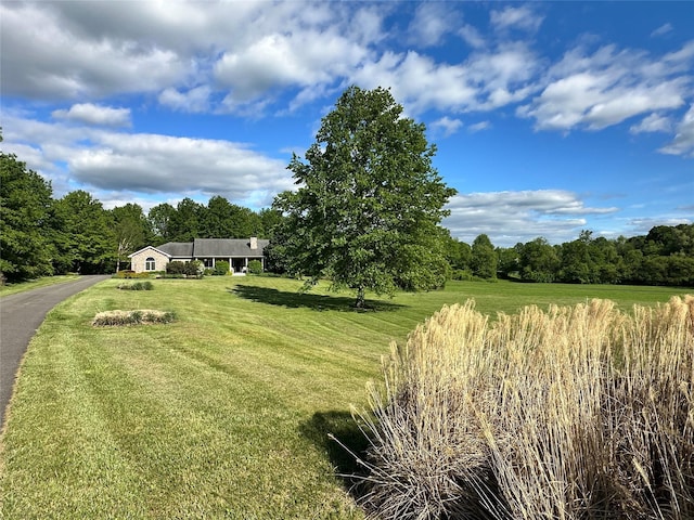 204 Moore Rd, Germantown, NY 12526 - view of grassy yard with a wooded view