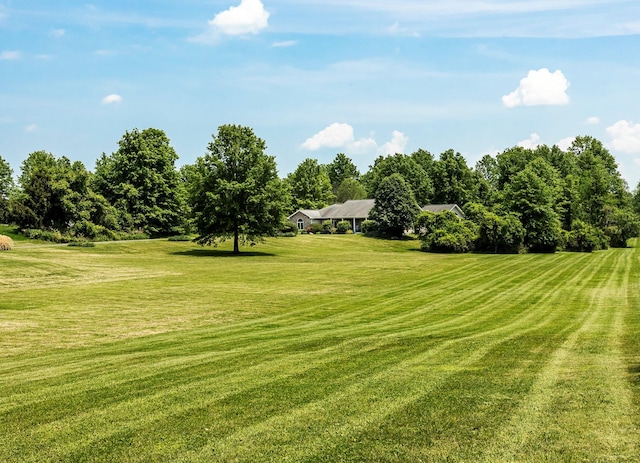 204 Moore Rd, Germantown, NY 12526 - view of grassy yard