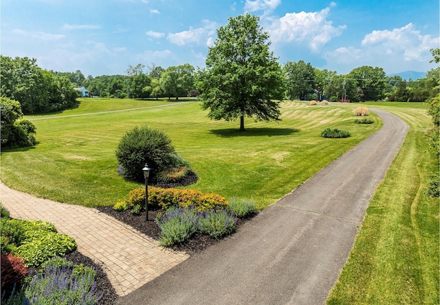 204 Moore Rd, Germantown, NY 12526 - view of home's community with a yard and view of wooded area
