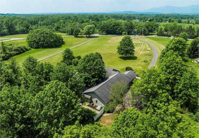 204 Moore Rd, Germantown, NY 12526 - drone / aerial view