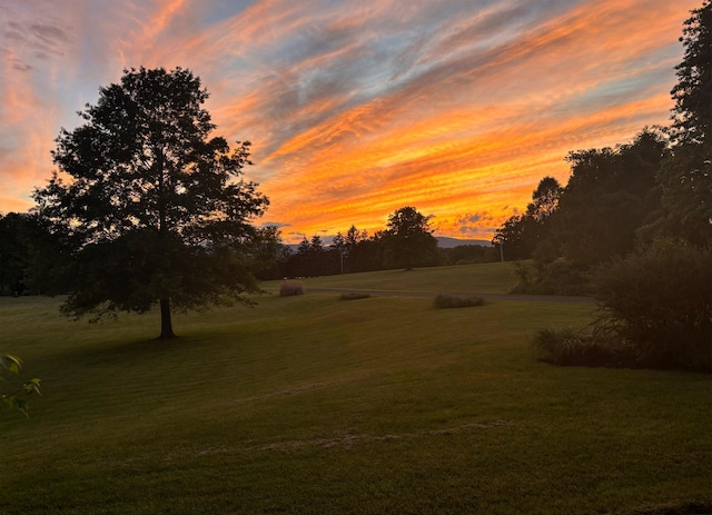204 Moore Rd, Germantown, NY 12526 - yard at dusk with a yard
