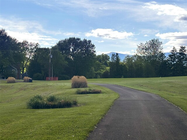 204 Moore Rd, Germantown, NY 12526 - view of street