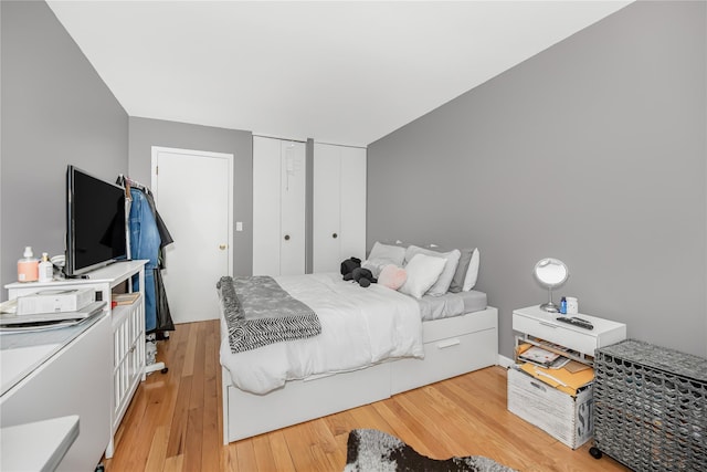 608 Kemeys Cv Unit 6-08, Briarcliff Manor, NY 10562 - bedroom with light wood-style flooring and two closets