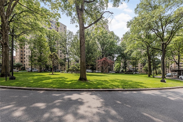 2 Fordham Hill Oval Unit 2F, Bronx, NY 10468 - surrounding community with a lawn