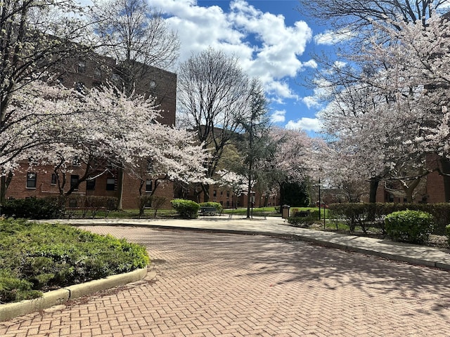 150-11 72nd Rd Unit 6A, Flushing, NY 11367 - view of home's community
