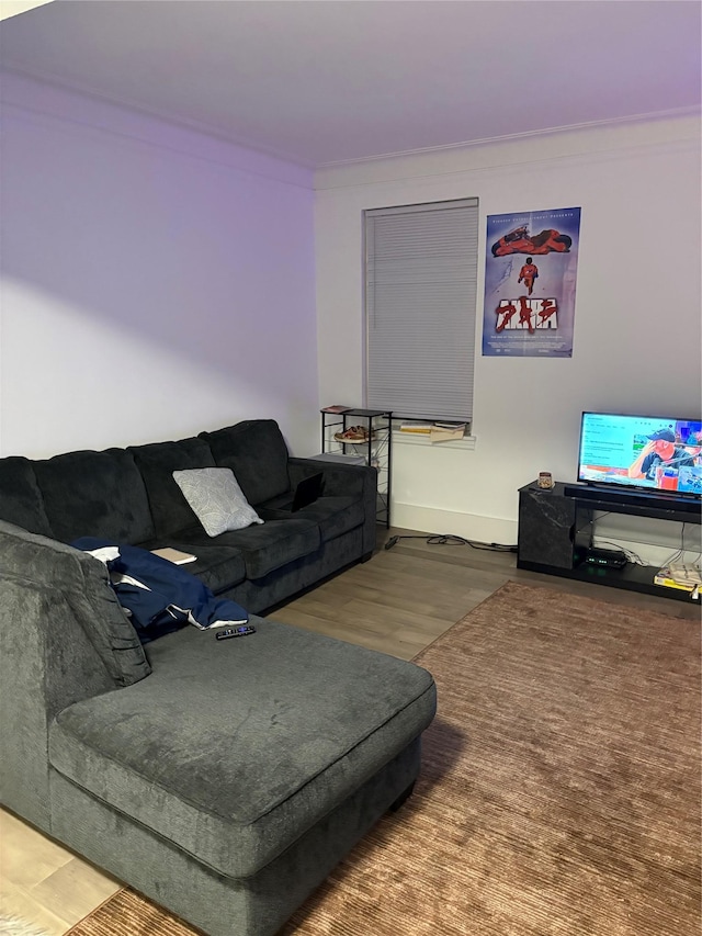 3000 Valentine Ave Unit 3E, Bronx, NY 10458 - living area featuring ornamental molding and wood finished floors
