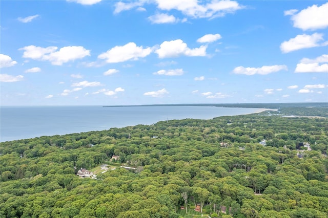 17 Oakmere Dr, Northport, NY 11768 - photo 40