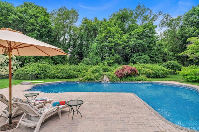 13 Locust Ln, Upper Brookville, NY 11545 - outdoor pool featuring a patio