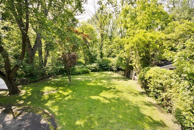 12 Babbitt Ct, Elmsford, NY 10523 - photo 25