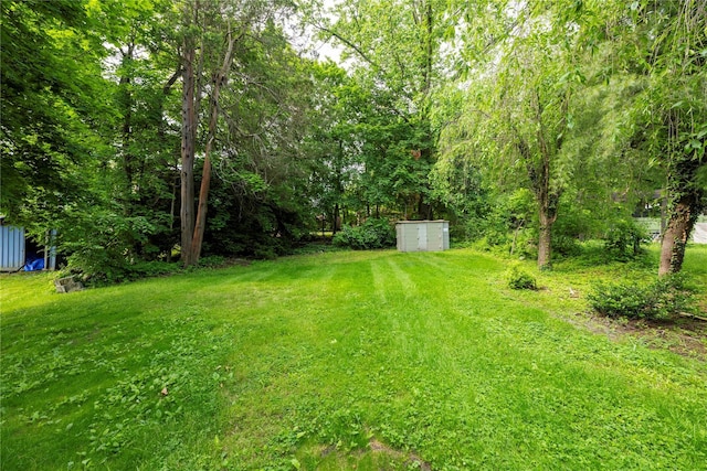 35 N St, Newburgh, NY 12550 - view of green lawn