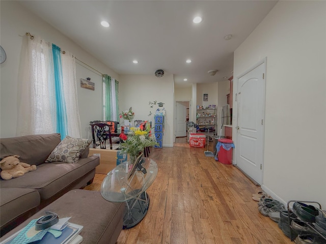 412 Newport St, Brooklyn, NY 11207 - living room featuring light wood finished floors, recessed lighting, and baseboards