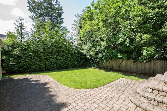 344 N Forest Ave, Rockville Centre, NY 11570 - view of patio