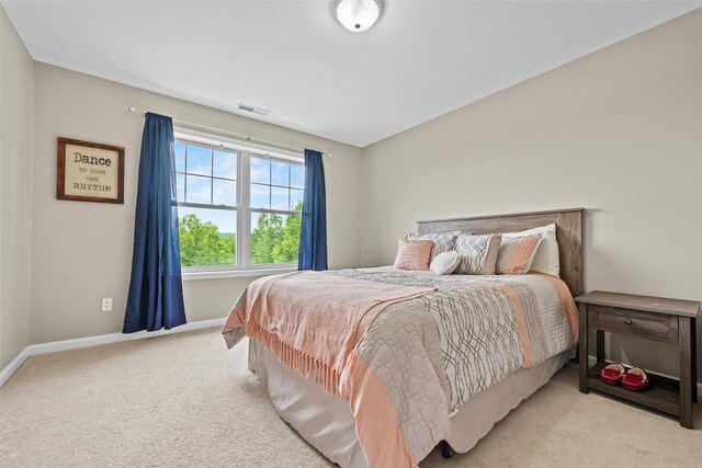 22 Restorative Ln, Middletown, NY 10940 - carpeted bedroom featuring baseboards