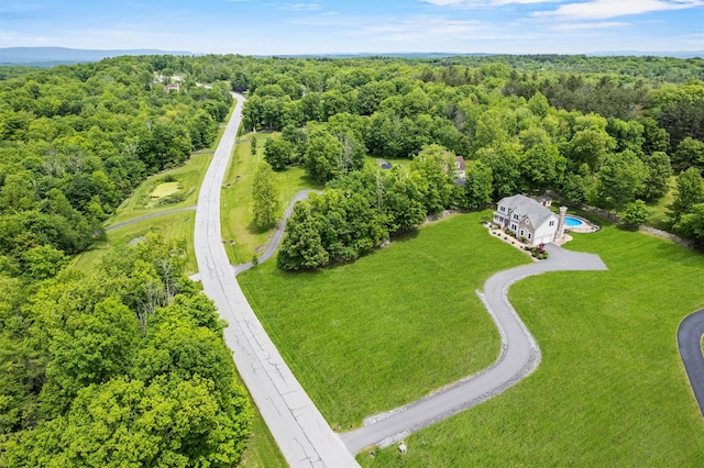 22 Restorative Ln, Middletown, NY 10940 - aerial view of a forest