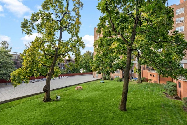 280 Collins Ave Unit 6J, Mount Vernon, NY 10552 - view of property's community featuring a yard