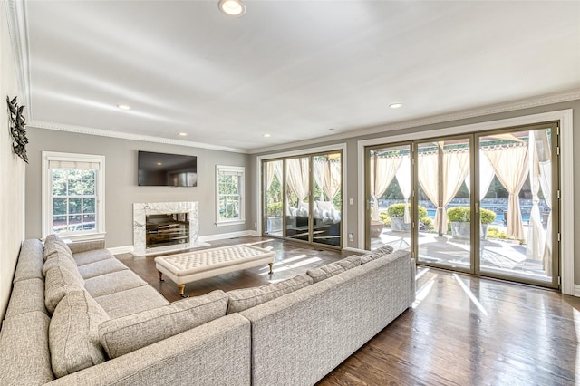 9 Stream Ct, Great Neck, NY 11024 - living room featuring crown molding, baseboards, dark wood-style flooring, recessed lighting, and a high end fireplace