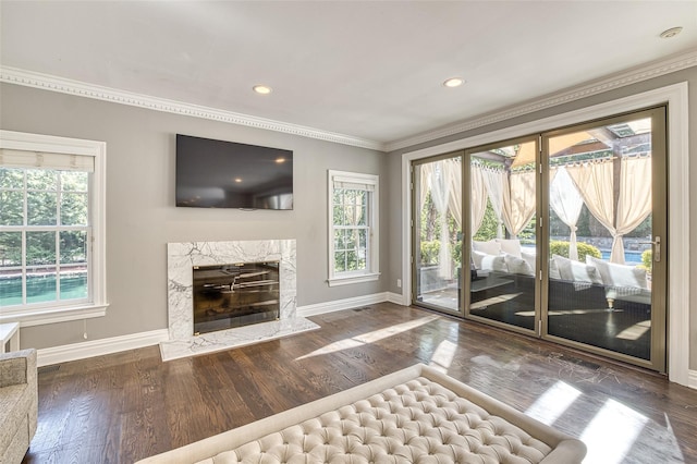 9 Stream Ct, Great Neck, NY 11024 - living area featuring baseboards, ornamental molding, wood finished floors, a premium fireplace, and recessed lighting
