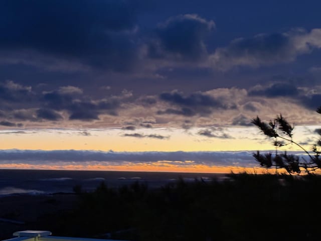 234 Dune Rd, Quogue, NY 11959 - view of local wilderness