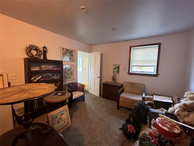 339 Chestnut St, Liberty, NY 12754 - photo 4