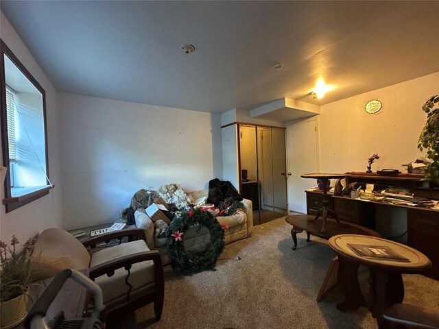 339 Chestnut St, Liberty, NY 12754 - photo 5