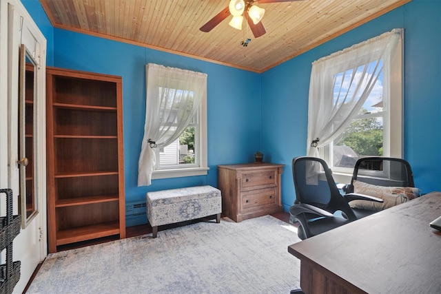 34 Argyle St, Lake Peekskill, NY 10537 - office featuring plenty of natural light, wooden ceiling, ceiling fan, and ornamental molding