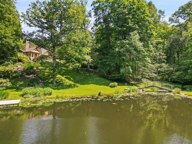 54 Old Stone Hill Rd, Pound Ridge, NY 10576 - photo 33
