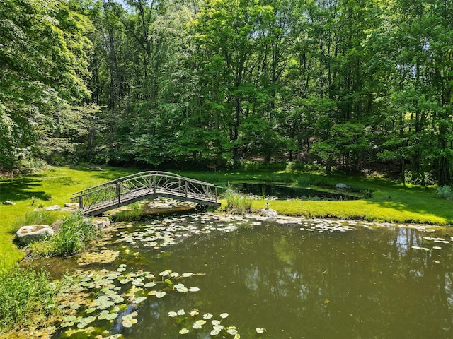 54 Old Stone Hill Rd, Pound Ridge, NY 10576 - photo 34