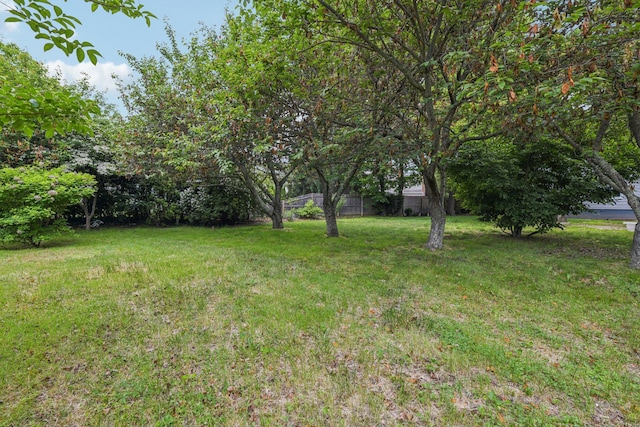 1293 Pulaski Rd, East Northport, NY 11731 - view of green lawn