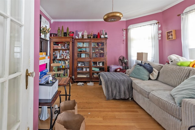 184 Highland Ave, Middletown, NY 10940 - living room with ornamental molding, plenty of natural light, and light wood-style flooring