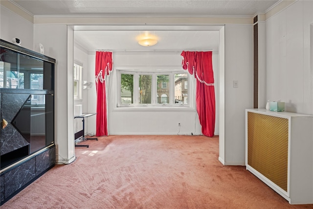 4614 Carpenter Ave, Bronx, NY 10470 - unfurnished living room featuring carpet and ornamental molding